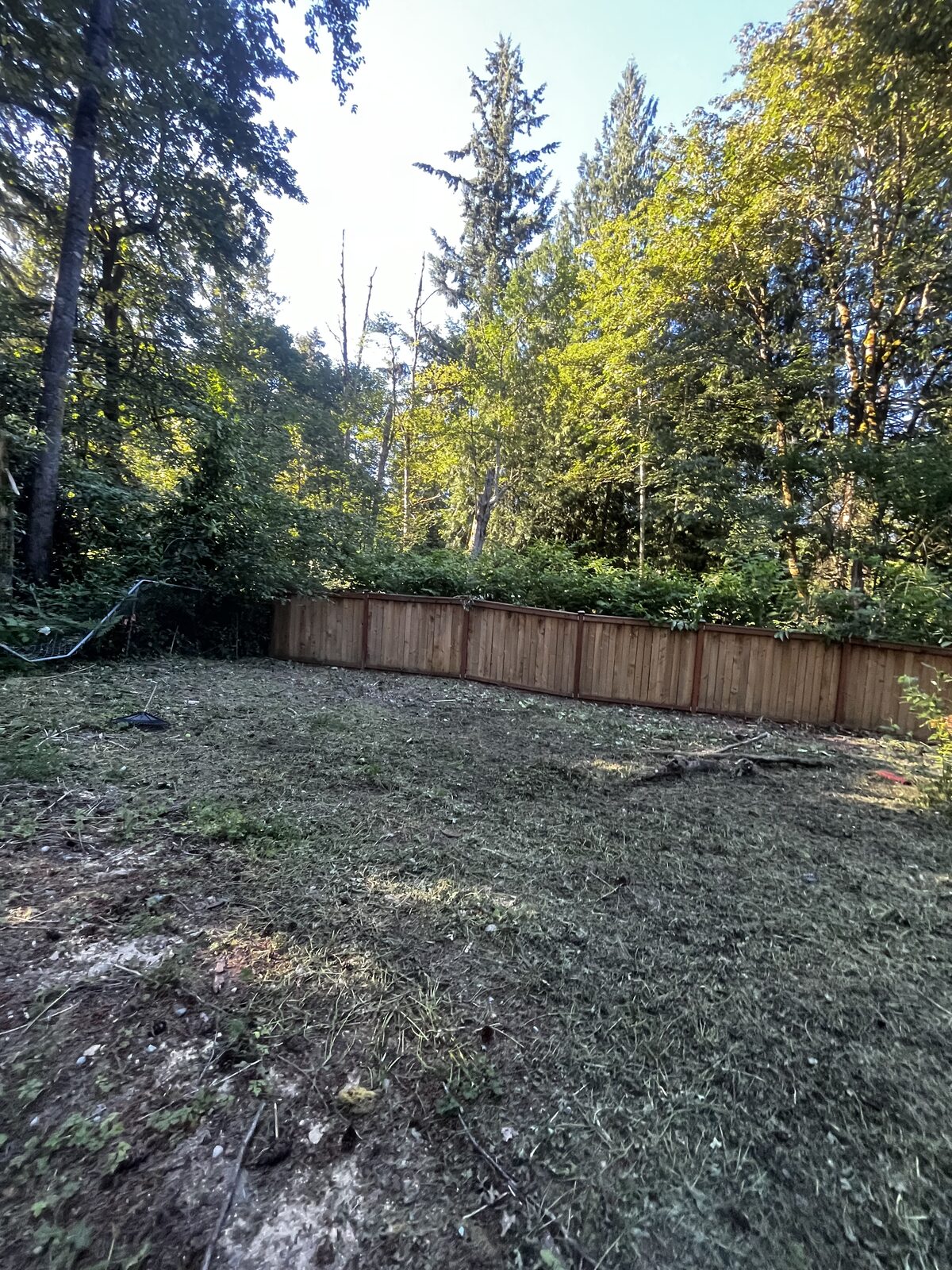 Same yard after cleanup — cleared to clean ground along the fence line